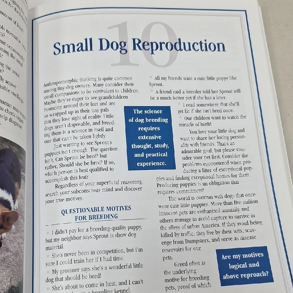 Small Dog Breeds Guide - Brown and Gray Cover
